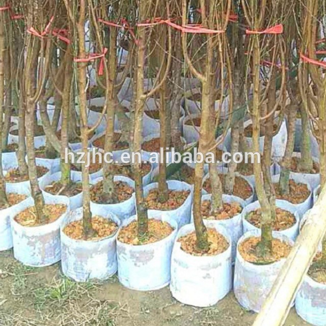 ថង់ដាំដំណាំក្រណាត់មិនត្បាញដែលមានម្ជុលចាក់បែបថ្មី