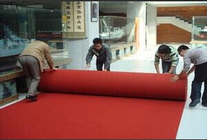 د نندارتون غالۍ لپاره د عمده پلور ستنه پنچ شوی غیر اوبدل شوی فیلټ