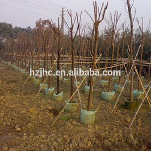 Fashion Needle Punched Nonwoven fabric Planter Grow Bag