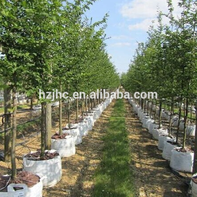 China Supplier Needle Punched Nonwoven fabric Planter Grow Bag