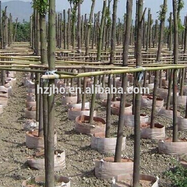 China Supplier Needle Punched Nonwoven fabric Planter Grow Bag