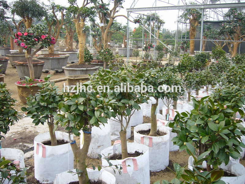 Water Resistant PP Non woven Geotextile Fabric Used Plant Bag