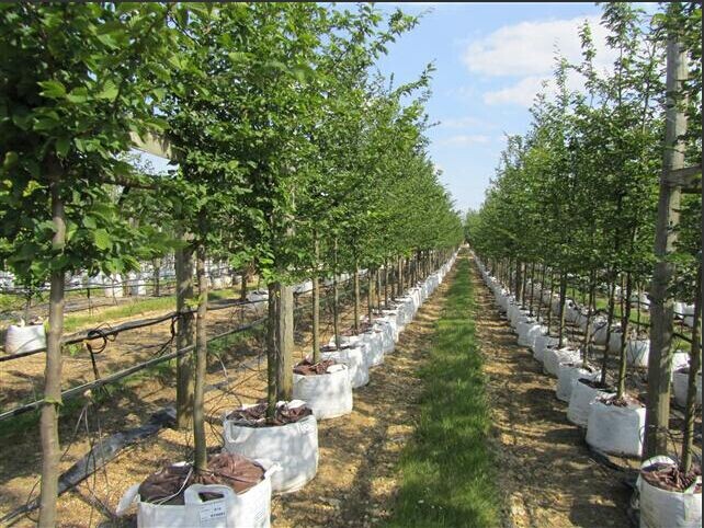 high quality nonwoven geotextile for wholesales