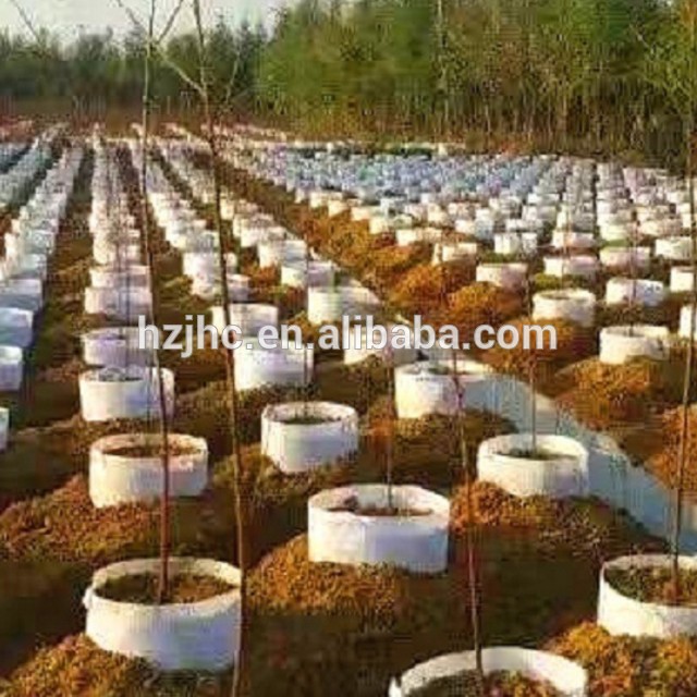 China Supplier Needle Punched Nonwoven fabric Planter Grow Bag