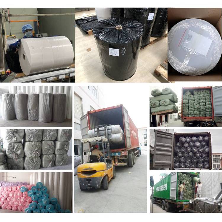 Packaging & Shipping